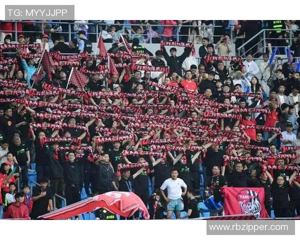 全明星足球盛宴开启球迷狂欢与明星球员同场竞技的精彩瞬间